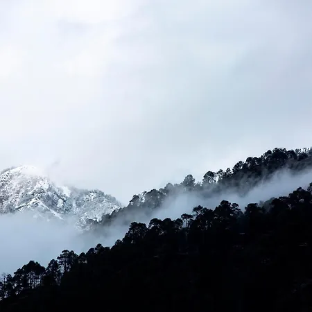 Pack Mukteshwar-2